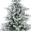 Abete Grandis 180cm gn/ws Anteprima dell’immagine prodotto 4