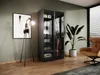 A modern bedroom or dressing room with a wardrobe, chair, plant, and artwork. Produktbild-Vorschau