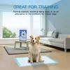 Nobleza -30 x Ultra saugfähige Hunde Trainingsunterlagen Produktbild-Vorschau 6