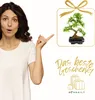 Bonsai Baum mit Keramik Blumentopf - Ligustrum, Ficus, Produktbild-Vorschau 6