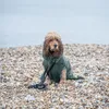 Rukka Pets Bademantel Medea X olive, Größe:M Produktbild-Vorschau 5