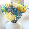 LAYBA Trockenblumenstrauß Bunt, getrocknete Blumen und Produktbild-Vorschau 5