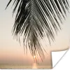 MuchoWow® Poster Sonne - Palme - Blatt 50x50 cm - Produktbild-Vorschau 1