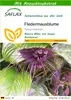 SAFLAX - Fledermausblume - Tacca chantrieri - 10 Samen - Produktbild-Vorschau 1