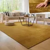Tapis de salon moderne Tapis à poils courts Lavable Doux Voir les images du produit 7