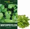 A collage showing a packet of winterpostelein seeds and a bunch of the harvested plant. Produktbild-Vorschau