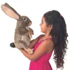 Folkmanis Handpuppe Feldhase / Jack Rabbit  3200 Hase Produktbild-Vorschau 3