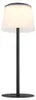 GLOBO 58462F, Plastik, Metal, IP44, III, 1,8 W, LED, 3000 K Podgląd zdjęcia produktu 1