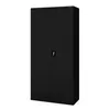 A black metal cabinet with two doors and a key lock. Voir les images du produit