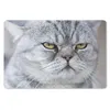 MuchoWow® Schreibtischunterlage Tier - Katze - Grau 60x40 Produktbild-Vorschau 1