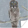 MuchoWow® Poster Eule im Schnee 50x50 cm - Produktbild-Vorschau 1