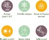 Green boutiQ - Heesters -  Magnolia Susan  - Bloemen Donker Voir les images du produit 8