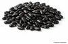 GardenTaurus® Buschbohne Delinel (Filetbohne), Inhalt: 1kg, Produktbild-Vorschau 2