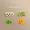 Avoury Herbal Infusion | THE CAMOMILE | 8 Tee-Kapseln: Produktbild-Vorschau 7