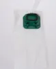 A white vacuum cleaner bag with a green connector. Produktbild-Vorschau
