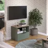 Kommode Vicco Wido Grün 60 x 50 cm mit klappe, Model 57449 Produktbild-Vorschau 3