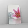Bilder auf glas - Einteilig - Lilienblüte grün Pflanze - Produktbild-Vorschau 4