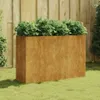 DELUKE® Hochbeet Cortenstahl WOLI | Unten offen | Hochbeet Produktbild-Vorschau 2