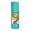 L´Oréal Paris Magic Retouch Spray korektor na odrosty Náhled obrázku produktu 1