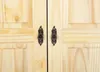 A close-up view of two wooden cabinet doors with ornate metal handles. Produktbild-Vorschau