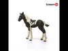 Schleich 13803 Mondo della fattoria - Puledro Pinto Anteprima dell’immagine prodotto 3