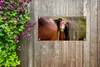 MuchoWow® 80x40 cm Outdoor-Poster Gartendeko Sichtschutz Produktbild-Vorschau 5