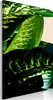 Italienischer Leinwand Leinwandbild - Dieffenbachia (1 Produktbild-Vorschau 1