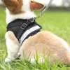 A close-up of a dog wearing a black harness and leash, sitting on grass. Podgląd zdjęcia produktu