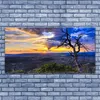 Glasbilder 140x70 Wandbild Druck auf Glas Baum Landschaft Produktbild-Vorschau 2