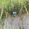 Oase PondoSolar 600 Control Springbrunnenpumpe mit Produktbild-Vorschau 5