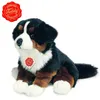 my best Friend Berner Sennenhund sitzend, 29 cm, Plüsch Produktbild-Vorschau 9