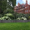 GARDENIX - Bordatura per prato in plastica effetto legno, Anteprima dell’immagine prodotto 6