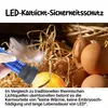 LED Schierlampe für Geflügelzucht, 220V Produktbild-Vorschau 7