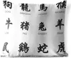 MuchoWow® Outdoor Kissen - Chinesische Schriftzeichen für Produktbild-Vorschau 1