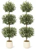 Set van 2 kunstplanten: Olijfboom, levensechte plant in Productafbeelding-voorbeeld 1