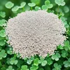 ECODECO Mikroklee Samen 500g Weiß Klee Beschichtete Clover Produktbild-Vorschau 15