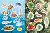 Flora, Fauna, Pflanzen & Bienen - Stickerbuch Produktbild-Vorschau 2