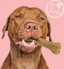 MERSJO os de fonction de faisan pour chiens 13.5 cm - Voir les images du produit 4