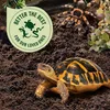 Bodengrund COMPO Schildkröten- & Terrariensubstrat 0-2 mm Produktbild-Vorschau 4