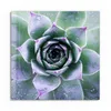 DEQORI Glasbild Echtglas 50x50 cm 'Taufrische Symmetrie' Produktbild-Vorschau 2