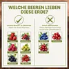 Green Home Beerenobst Erde 72 L – Spezialsubstrat für Produktbild-Vorschau 8