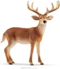 Schleich WL Cervo dalla coda bianca 14818 (14818) Anteprima dell’immagine prodotto 7