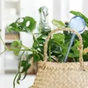 Sfere per l'irrigazione Relaxdays, set da 9 pezzi, A x P: Anteprima dell’immagine prodotto 3
