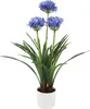 Künstliche Agapanthus-Blume im Topf, 50 x 80 cm Produktbild-Vorschau 1