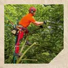 Sega a mano Oregon per la cura degli alberi 33 cm curva ( Anteprima dell’immagine prodotto 11