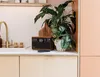 A PURE Classic H6 DAB+ radio is placed on a kitchen counter next to a plant and sink. Podgląd zdjęcia produktu