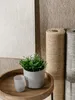 benuta dywan in- & outdoor Iowa Beżowy 300x400 cm dywan do Podgląd zdjęcia produktu 7
