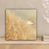 MuchoWow® - Leinwandbilder - Löwenzahn - Wasser - Natur - Produktbild-Vorschau 2