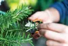 Fiskars Solid Kräuterschere SP220, Gartenschere, Produktbild-Vorschau 18