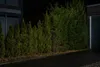 LEDVANCE ENDURA, Bodenbeleuchtung für den Außenbereich, Produktbild-Vorschau 6